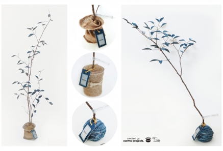 デニムツリー デニムの木 観葉植物