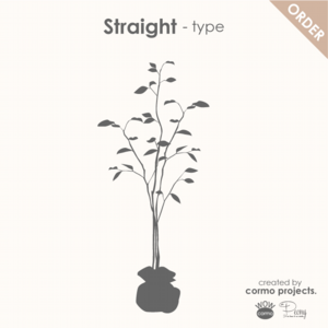 denim tree デニムの木 ストレートタイプ のオーダー