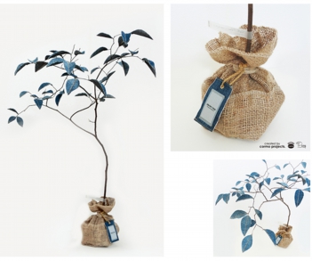 デニムツリー デニムの木 観葉植物