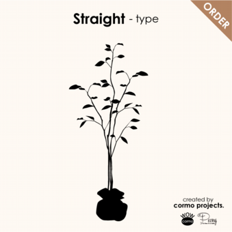 デニムツリー デニムの木ストレートタイプのオーダー