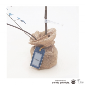 デニムツリー デニムの木 デニムの木の株