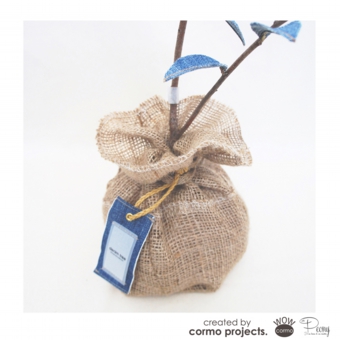 デニムツリー デニムの木 観葉植物