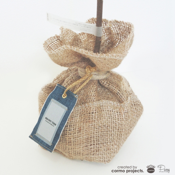 デニムツリー デニムの木 観葉植物