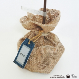 デニムツリー デニムの木 観葉植物