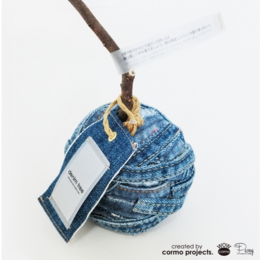 デニムツリー デニムの木 観葉植物