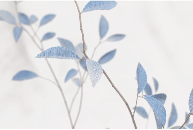 デニムツリー デニムの木 観葉植物