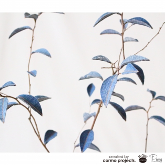 デニムツリー デニムの木 観葉植物