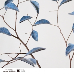 デニムツリー デニムの木 観葉植物