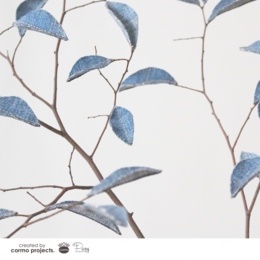 デニムツリー デニムの木 観葉植物