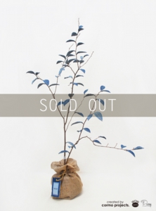 デニムツリー デニムの木