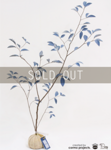 デニムツリー デニムの木