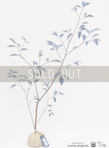 デニムツリー デニムの木