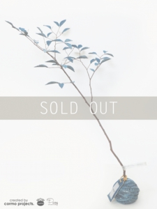 デニムツリー デニムの木